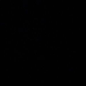 Meet your Posher, Josue